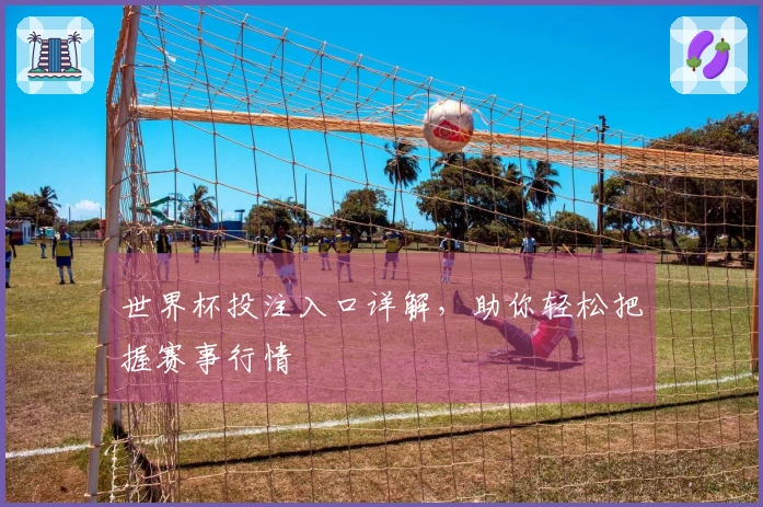 世界杯投注入口详解，助你轻松把握赛事行情
