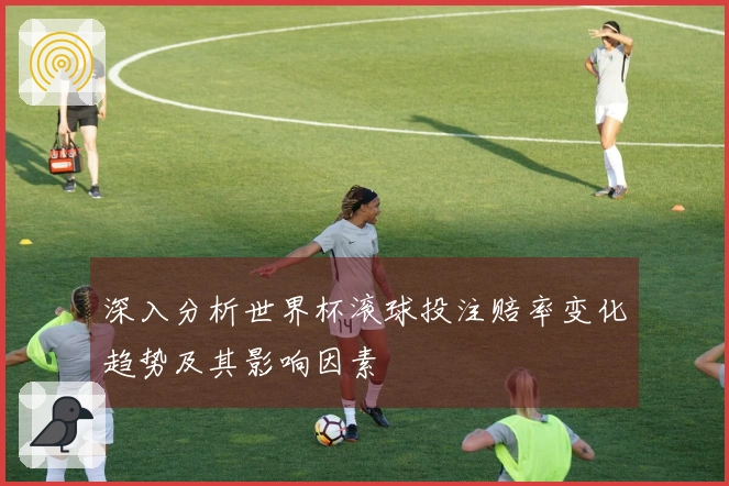 深入分析世界杯滚球投注赔率变化趋势及其影响因素