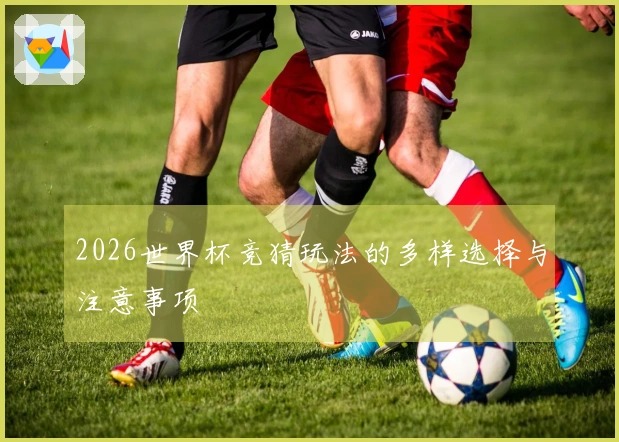 2026世界杯竞猜玩法的多样选择与注意事项