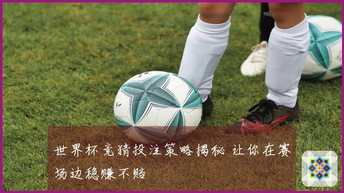 世界杯竞猜投注策略揭秘 让你在赛场边稳赚不赔