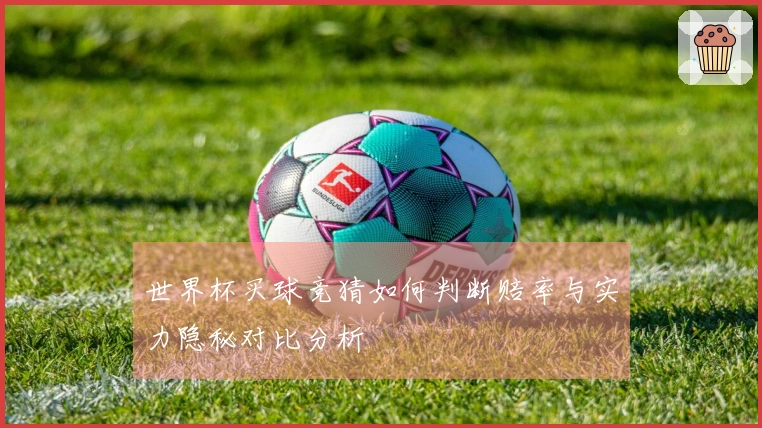 世界杯买球竞猜如何判断赔率与实力隐秘对比分析