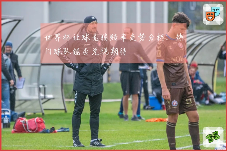 世界杯让球竞猜赔率走势分析：热门球队能否兑现期待