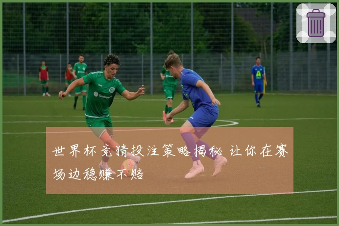 世界杯竞猜投注策略揭秘 让你在赛场边稳赚不赔