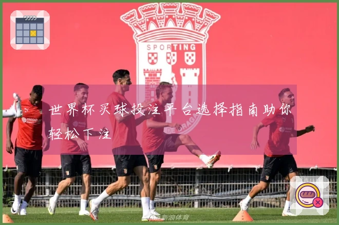 世界杯买球投注平台选择指南助你轻松下注