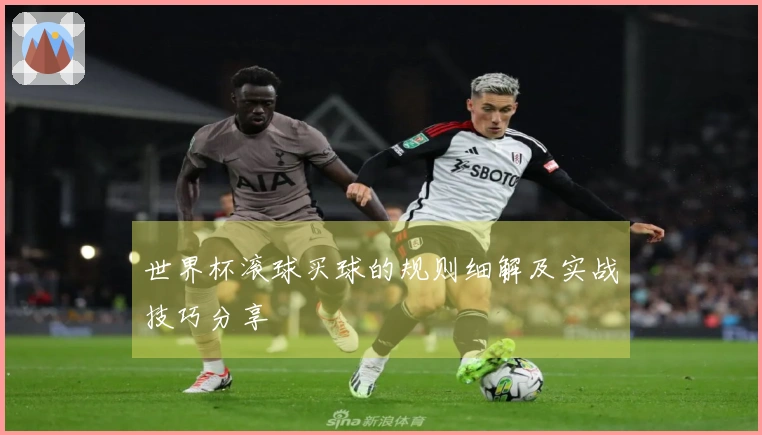 世界杯滚球买球的规则细解及实战技巧分享