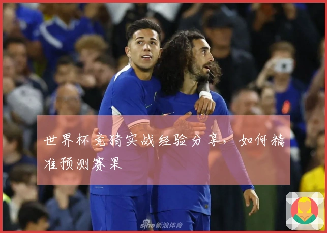 世界杯竞猜实战经验分享，如何精准预测赛果