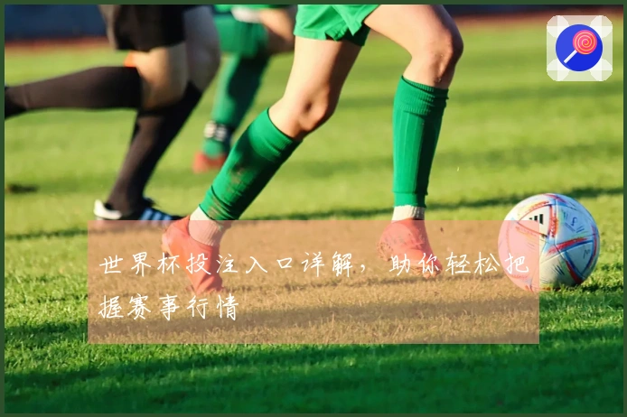 世界杯投注入口详解，助你轻松把握赛事行情