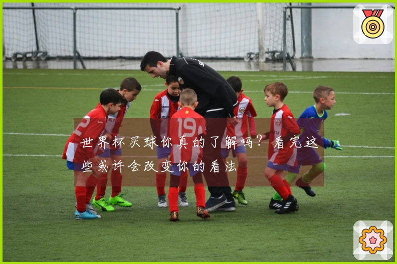 世界杯买球你真的了解吗？看完这些或许会改变你的看法