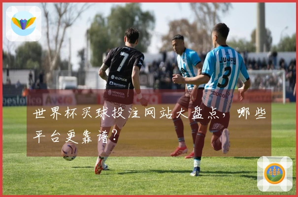 世界杯买球投注网站大盘点，哪些平台更靠谱？