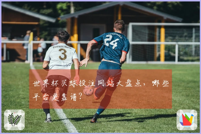 世界杯买球投注网站大盘点，哪些平台更靠谱？