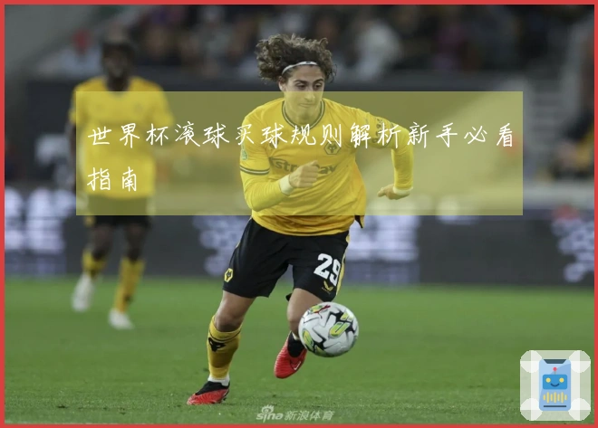 世界杯滚球买球规则解析新手必看指南