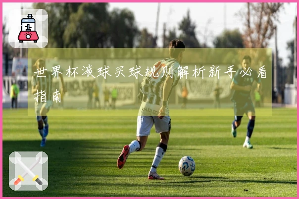 世界杯滚球买球规则解析新手必看指南