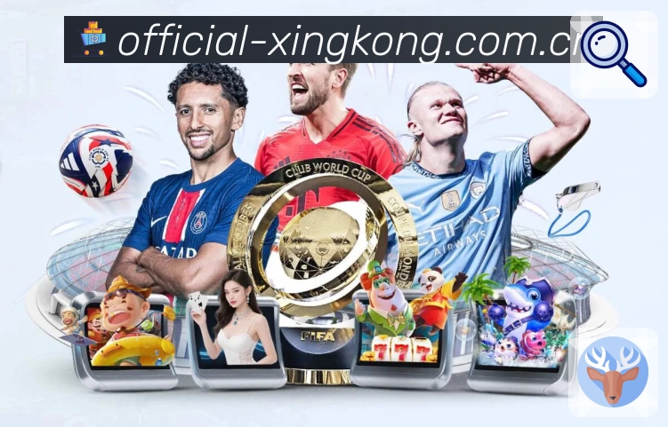 我们的使命与愿景